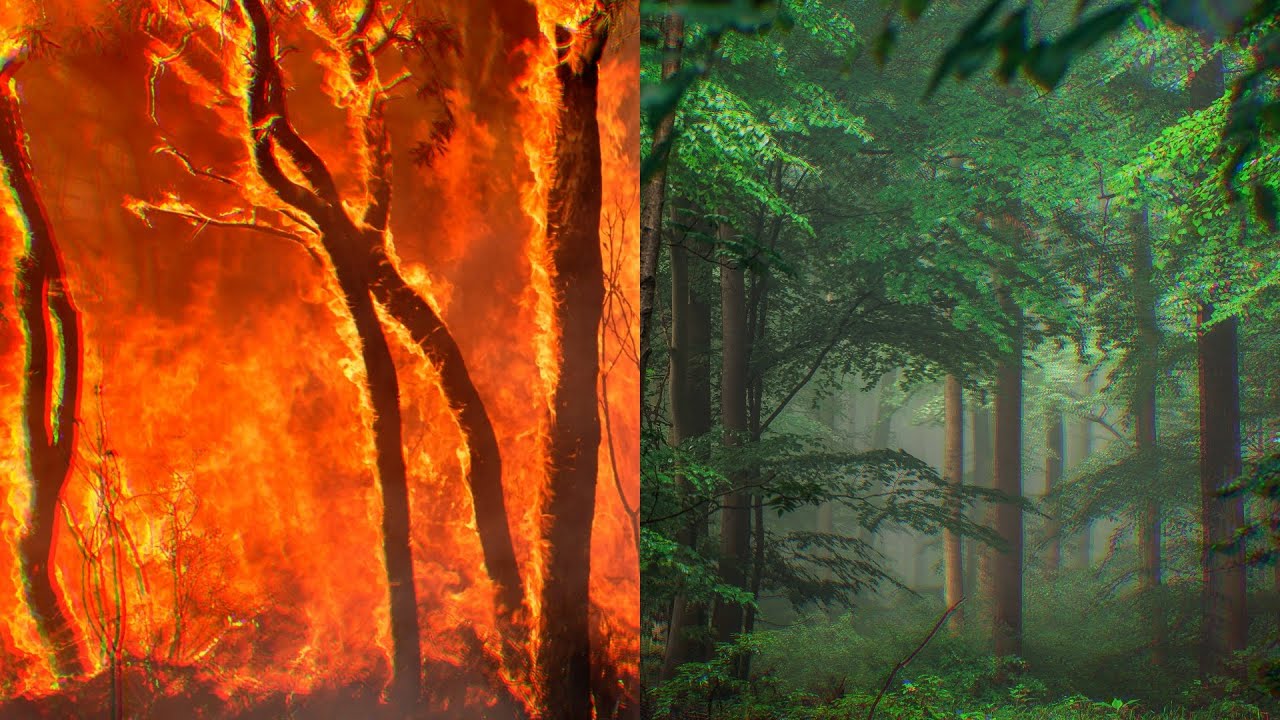 No Point of No Return: 8 Principles to Avoid the Climate Crisis