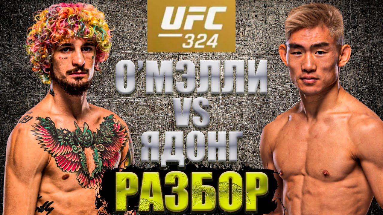 О'МЭЛЛИ ВСЕ?! Шон О'Мэлли - Ядонг Сонг / Разбор боя к UFC324.