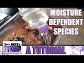 Keeping Moisture Dependent Tarantulas - A Tutorial