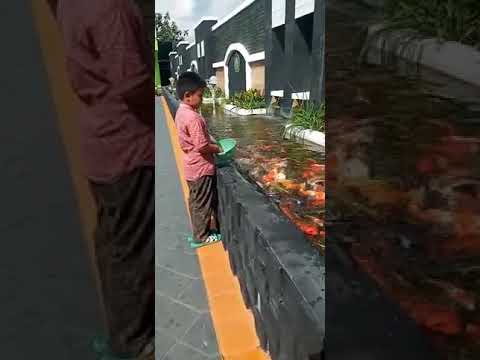 Video: Kawasan Berkelah Di Pondok Musim Panas Anda