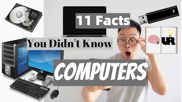11 Facts You Didn