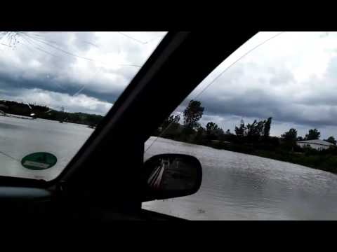 ხობი 2017წ 12 ივნისი