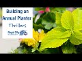 Get growing series building an annual planter  thrillers  royal city nursery
