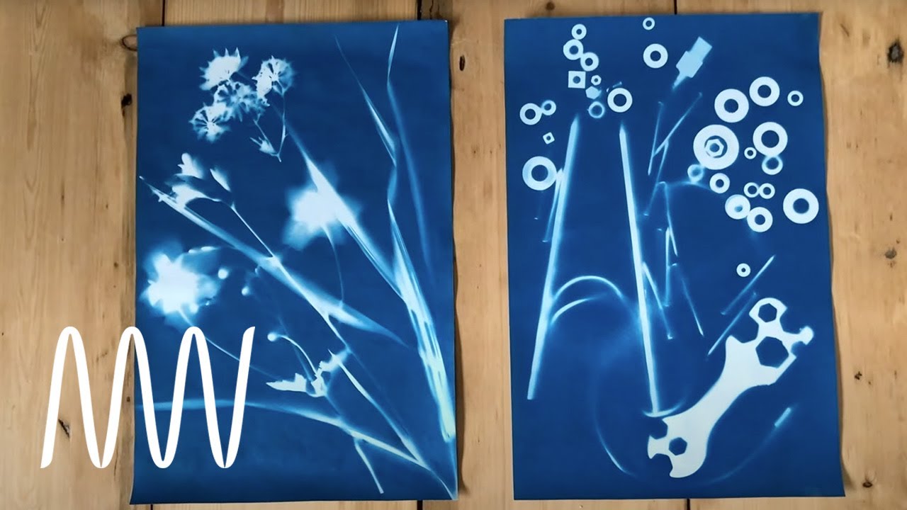 Cyanotype prints for beginners  National Museums Liverpool 