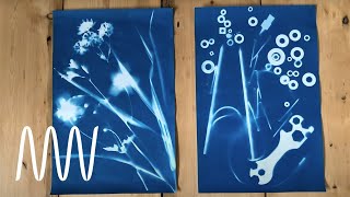 Cyanotype prints for beginners | National Museums Liverpool