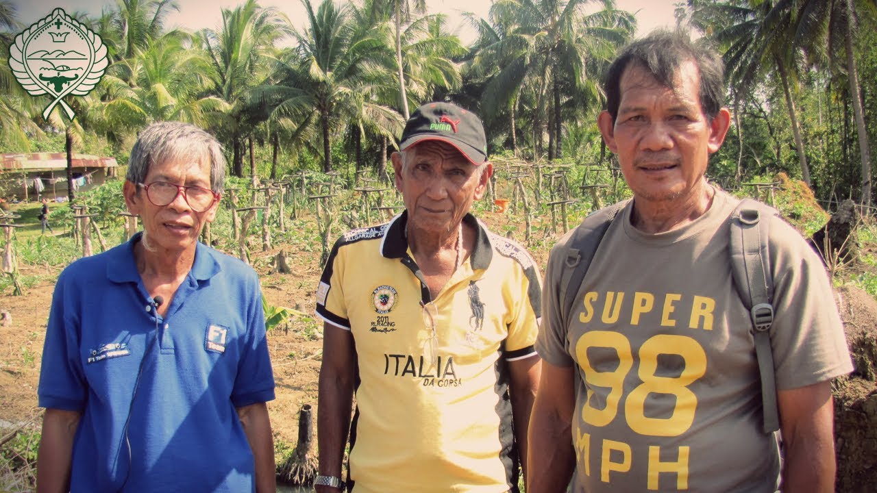 FFF Calauag Bio-Faming Cluster - Farmer Experiences