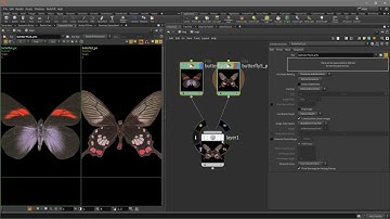Network Editor | Compositing Thumbnails
