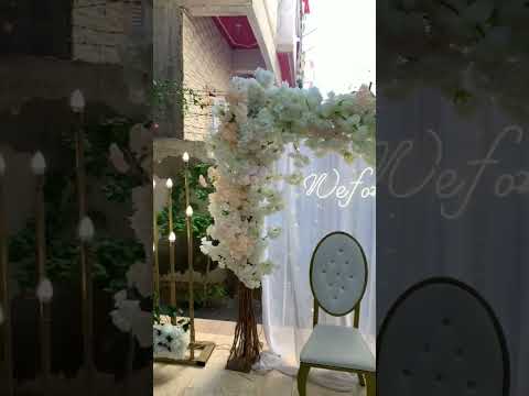 قلبي ضايع مين يلاقيه