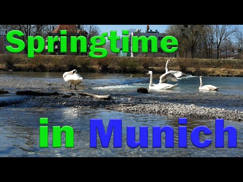 Springtime in Munich