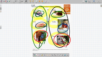 Preview Video 1 5 Brain in hand