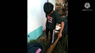 CWTS - (NSTP2) FCR , Home-based immersion....