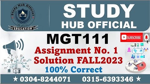 MGT111 Assignment 1 Solution Fall 2023, MGT111 Assignment 1 solution 2023, MGT111 assig 1 solution