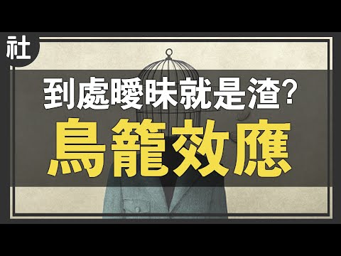 到處曖昧就是渣？你聽過「鳥籠效應」嗎？【Buchi社會課#19】