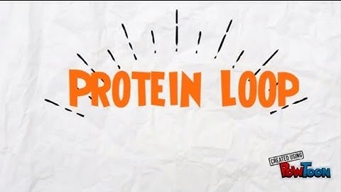 Protein Loop