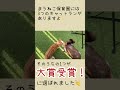 15匹の猫と快適な猫屋敷作りしています。この度、3つあるキャットランの1つがイレクター大賞受賞しました！そんな猫屋敷のラン＆ルームツアーです。本編はキャットランの値段や説明ありです
