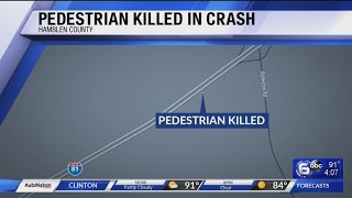 Pedestrian killed in crash on I-81