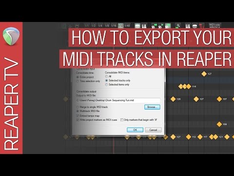 How To Export & Consolidate your Midi Tracks in Reaper