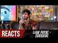 Producer Reacts to Liam Payne - Sunshine