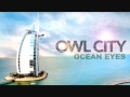Owl City-Hello Seattle (Remix)