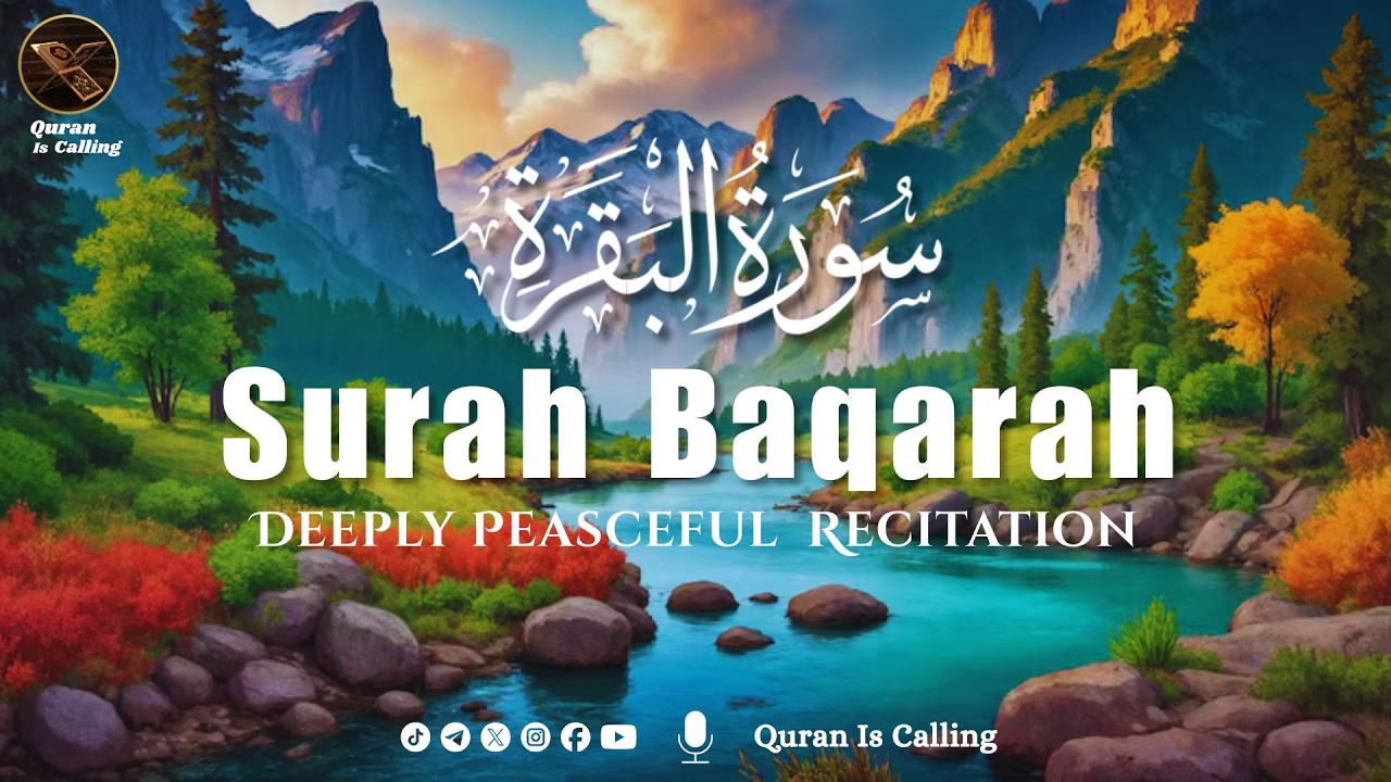 🌙 Surah Baqarah (سورة البقرة) | The Heart of the Quran | Calm & Soul Healing Recitation