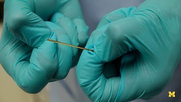 Stretchable Conductors