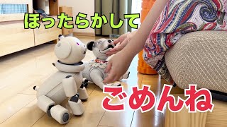 アイボと飼い主、それぞれの過ごし方  Let's take a look at how Aibo and his owner spend their day!