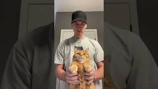 Cat Hits The Most Disgusting Dance Move Ever