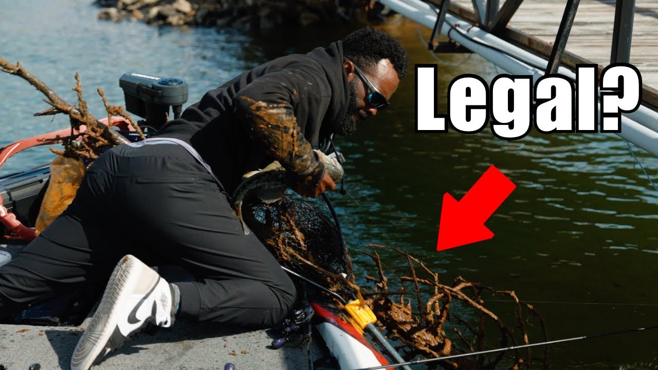 Illegal Fish Catch? – Pushing The Rules Of Bass Fishing As Far As Possible