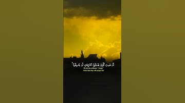 #القارئ ياسر الدوسري #ehsas_quran #quran #قرآن #viralvideo #viral #subscribe