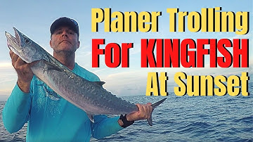 Planer trolling for KING MACKEREL at sunset | how to rig a planer trolling lure