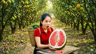 Harvesting Tons of Pomelos | Massive Orchard Harvest to Market | Hana Market