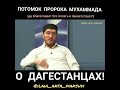 Арабы про алимов Дагестана