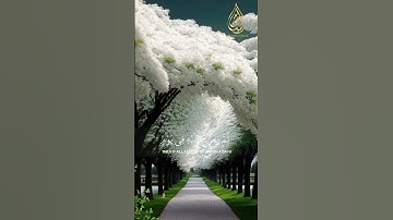 ٱللَّهُ ٱلَّذِى خَلَقَ ٱلسَّمَـٰوَٰتِ وَٱلْأَرْضَ | محمد الشامي | سورة السجدة قرآن الكريم