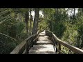 Boardwalk in Everglades, Fl