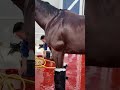 Este Caballo Necesita Enfriar Sus Patas Después De Correr! #curioso #increíble #interesante