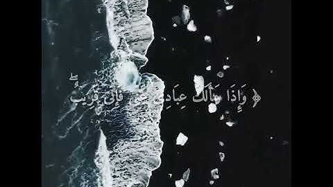 قرآن كريم بصوت عبدالله الموسى 🎤⚡ أجمل حالات واتس اب دينية مقاطع دينية قصيرة مقاطع انستقرام دينية