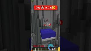 Dog 🐶 Vs Cat🐱 Parkour In Minecraft!