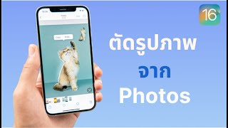 iOS 16 Photo Cutout: วิธีตัดรูปภาพจากรูปภาพหรือวิดีโอบน iPhone/iPad