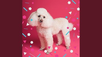 Pulsating Ambience for Dreamy Pups