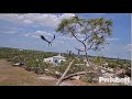 SWFL Eagles ~ Ready, Set, GO!! E21 Takes 2nd FLIGHT Across Pasture! ✈ 💕 So Beautiful! 3.31.23