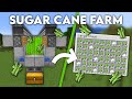 Minecraft: EASY Sugar Cane Farm -  Tutorial 1.19+