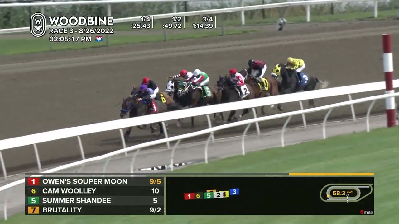 Woodbine, Tbred, August 26, 2022 Race 3 YouTube