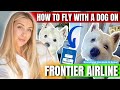 How to fly with a dog on Frontier Airline - Travel Guide