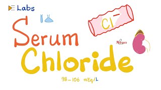 Serum Chloride (Cl) | Why you should care!