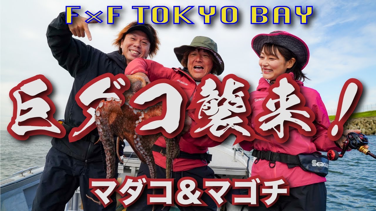 Egi Octopus] Aiming for giant octopus, flathead, and black porgy
