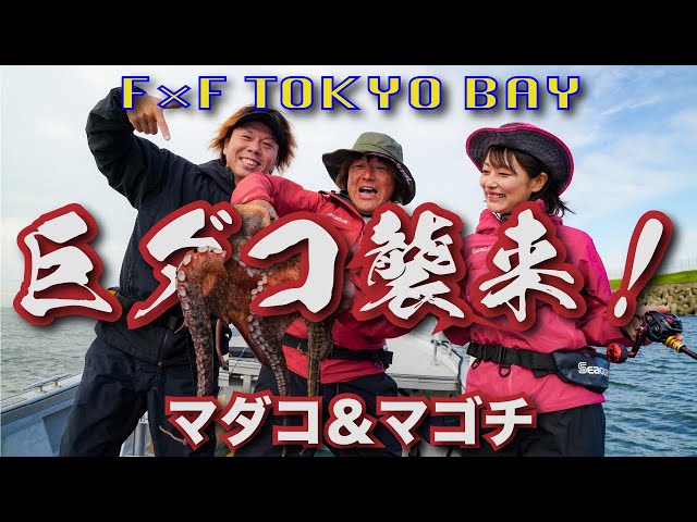 Egi Octopus] Aiming for giant octopus, flathead, and black porgy