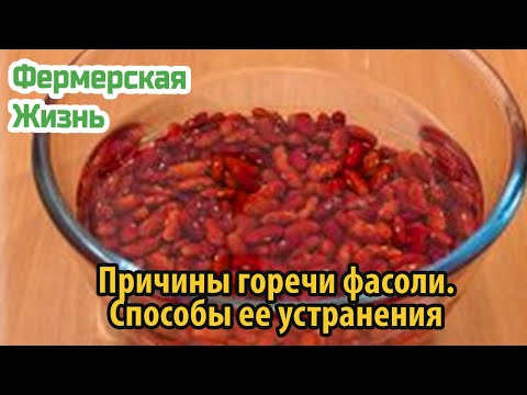 Причины горечи фасоли  Способы ее устранения