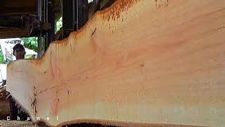 Çılgın Operatör. Maun Testere. Endonezyanın Dayanak Noktası