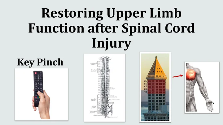 Restoring Upper Limb Function after Spinal Cord Injury