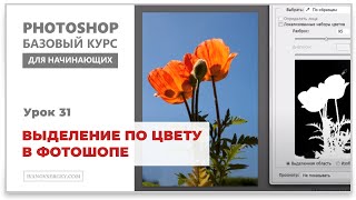 Выделение по цвету в фотошопе Выделение по цвету в фотошопе